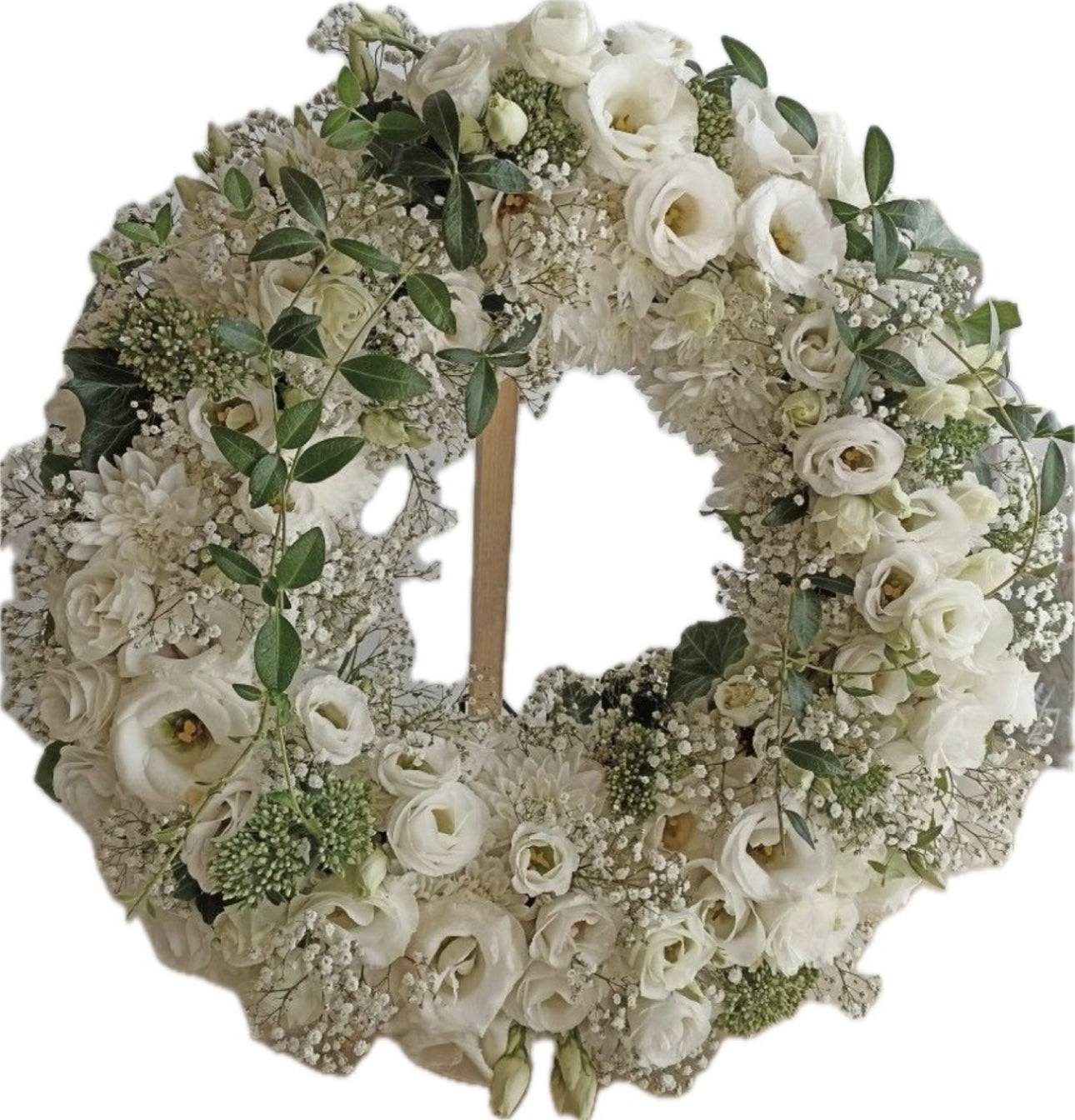 Corona Soft White