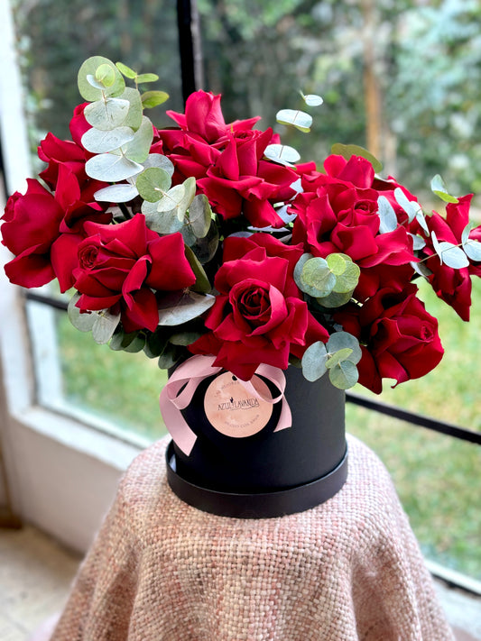 Caja de Rosas Rojas