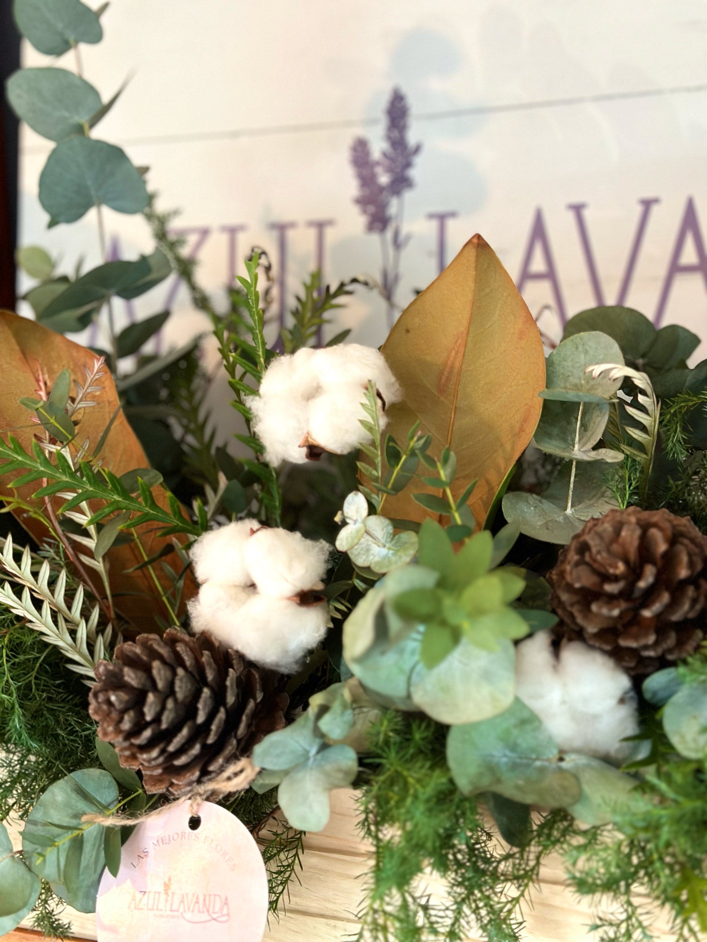 Organic XMAS