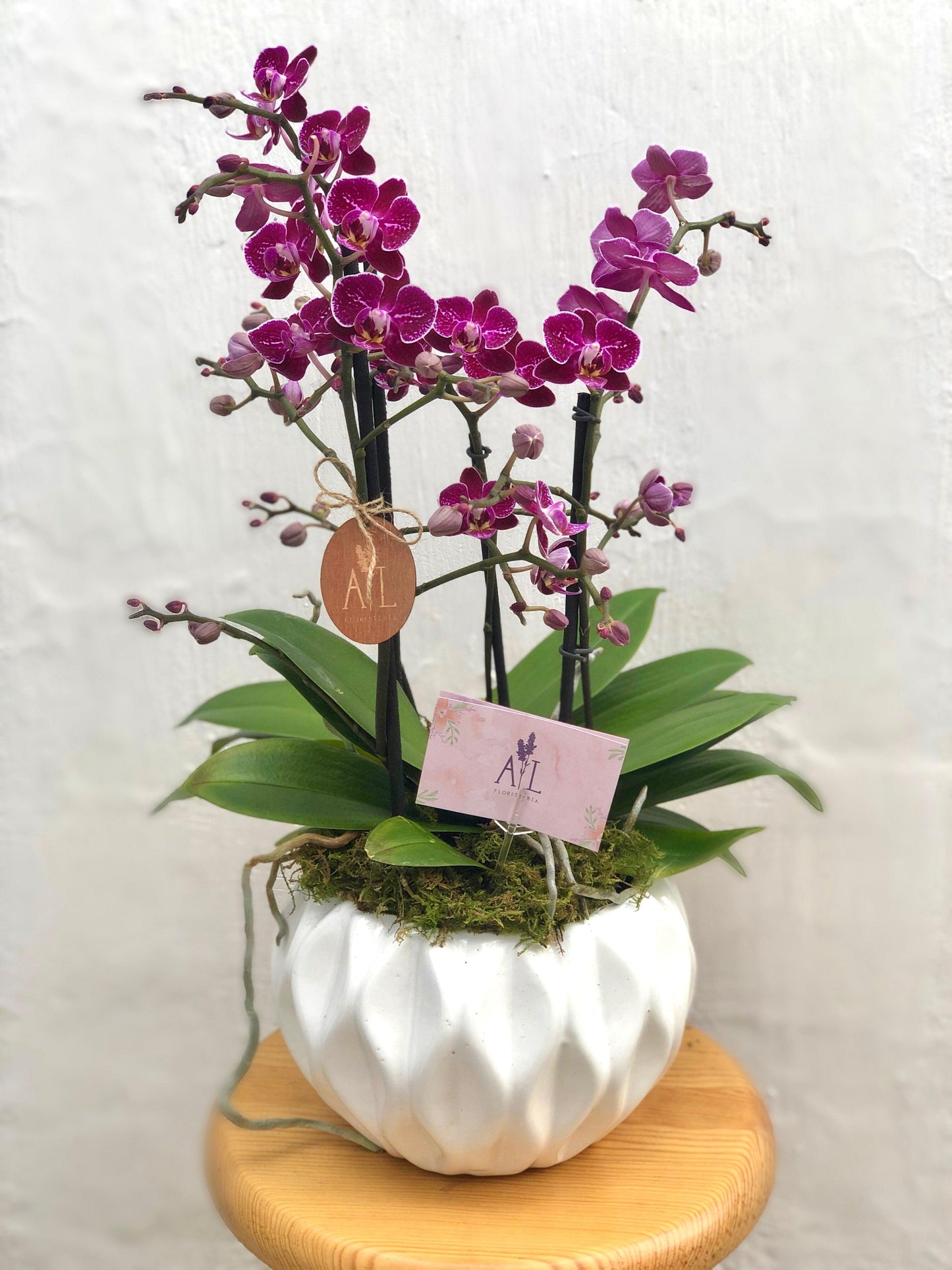 Orquídea 4 varas