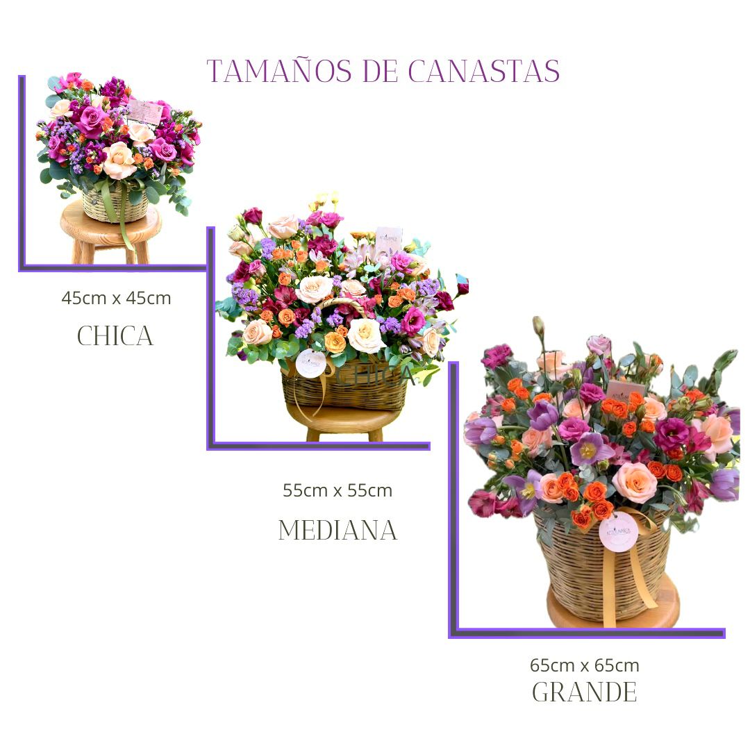 Canasta Colors